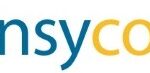 Offre d'emploi Consultant SEO senior : pilotage stratégique du Search sur sites à très forte volumétrie chez INSYCO à Pa