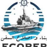 Offre d'emploi Directeur Des Finances Et Comptabilité (DFC) chez Alfacare à Aïn Yagout