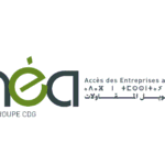 Offre d'emploi Finéa ouvre des postes à saisir à Tanger et Fès chez Finéa à Fès