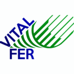 Offre d'emploi HR Généraliste chez Vital Fer à Casablanca