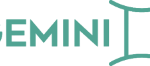 Offre d'emploi Tech Lead DataStage / ETL – Banque (H/F) chez SAS GEMINI à Paris
