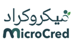 Offre d'emploi Un(e) Chef d'Agence - Agence Ariana chez MICROCRED à Ariana