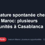 Offre d'emploi Candidature spontanée chez Inetum Maroc: plusieurs opportunités à Casablanca