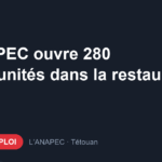 Offre d'emploi L’ANAPEC ouvre 280 opportunités dans la restauration rapide